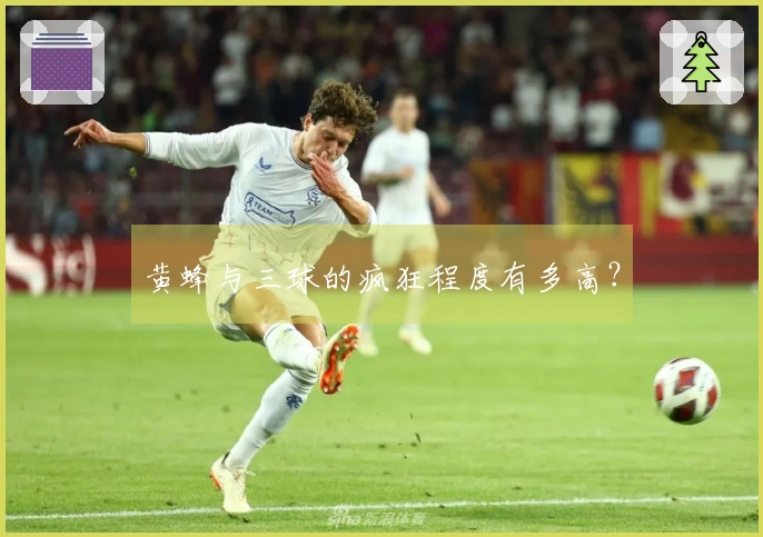 黄蜂与三球的疯狂程度有多高？